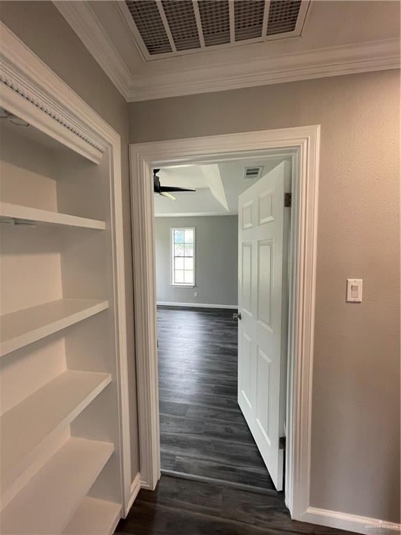 hallway featuring crown molding and dark wood-type flooring