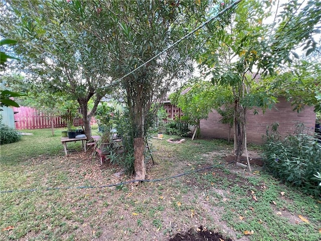 6502 S Galaxy Dr, Pharr, TX 78577 - view of yard featuring fence