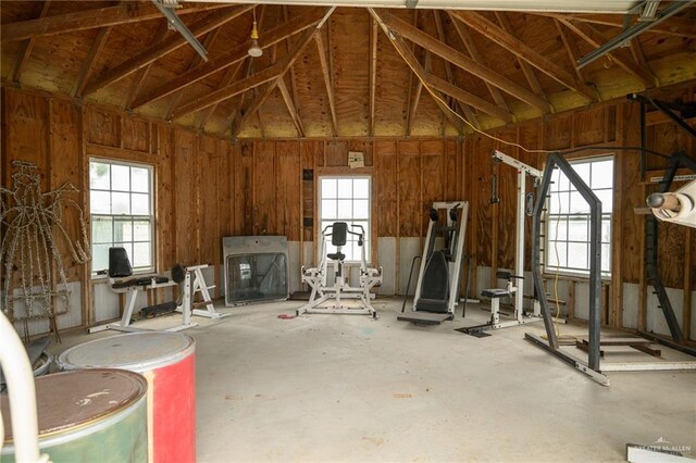 misc room featuring vaulted ceiling and a wealth of natural light