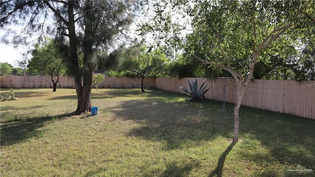 view of yard featuring a fenced backyard