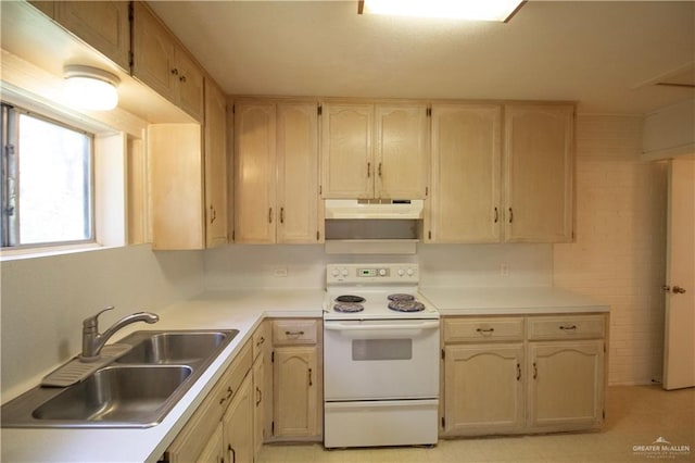 916 S 8th Ave, Edinburg, TX 78539 - photo 7