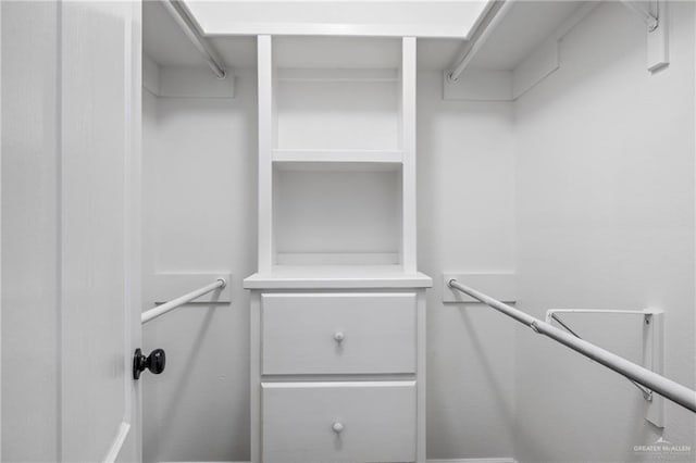 view of spacious closet