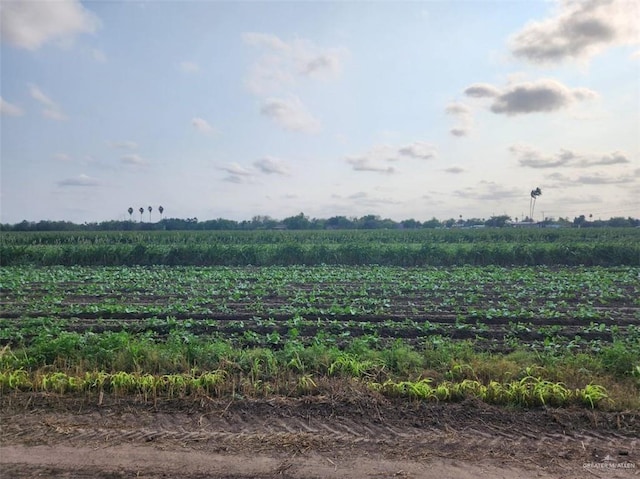 00 Cesar Chavez Rd, San Juan TX, 78589 land for sale