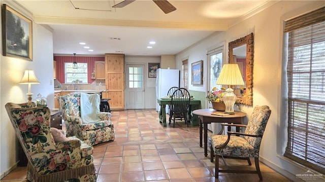 living area with ceiling fan, a healthy amount of sunlight, sink, and ornamental molding