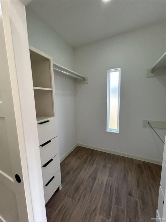 walk in closet featuring dark wood-style flooring