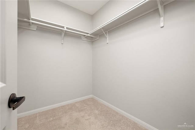 walk in closet with carpet