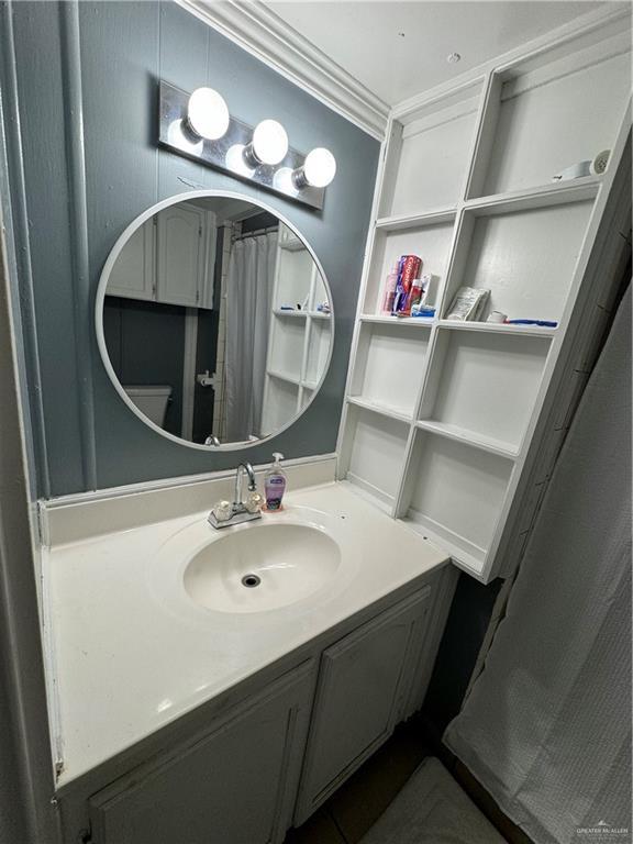 bathroom featuring ornamental molding and vanity