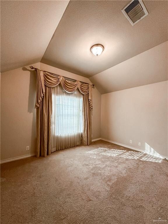 additional living space with a textured ceiling, carpet floors, and lofted ceiling