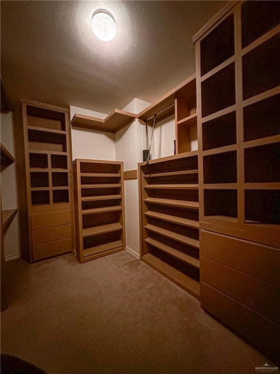 spacious closet featuring carpet flooring