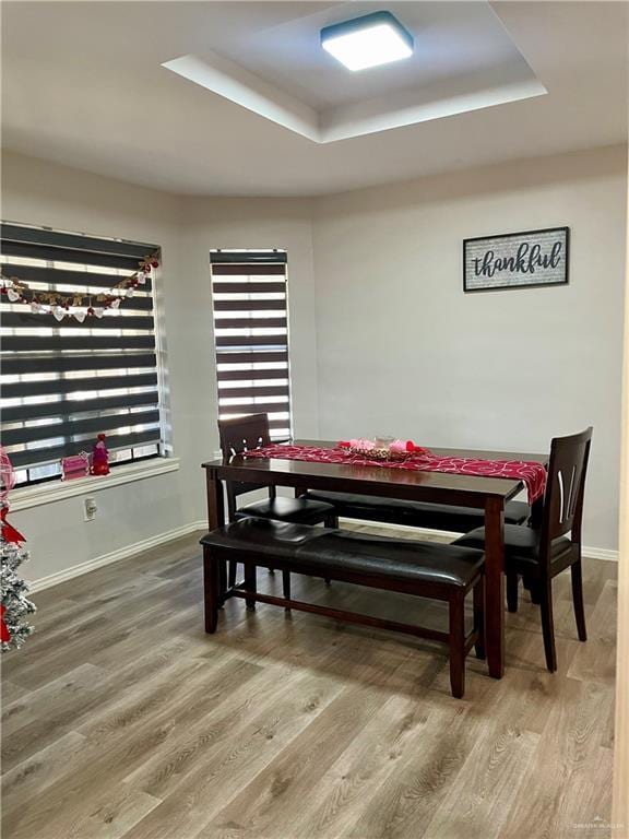 dining room with hardwood / wood-style floors and a tray ceiling