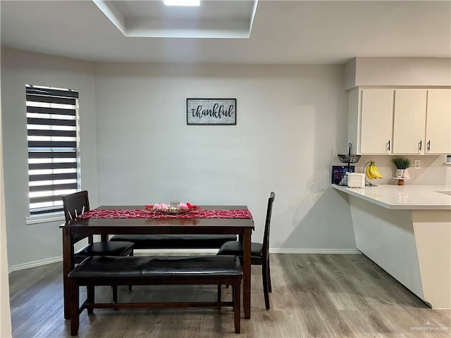 dining room featuring a raised ceiling and light hardwood / wood-style flooring