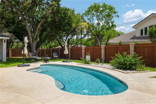 1313 Oriole Ave, Mcallen, TX 78504 - view of pool featuring a patio area, a fenced backyard, and a fenced in pool