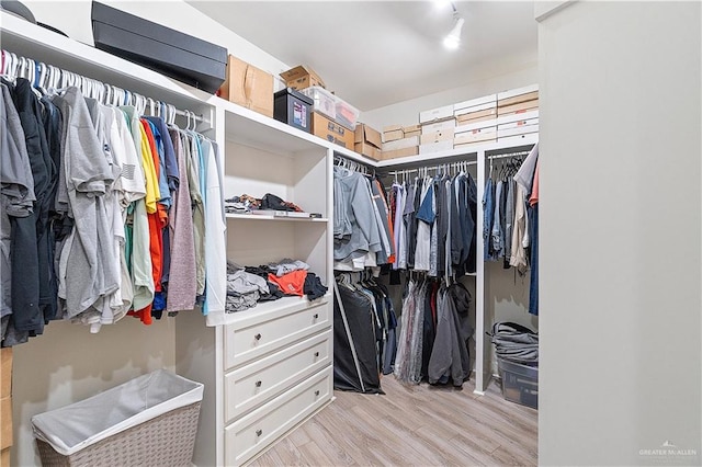 2520 Colvin Ave, Edinburg, TX 78539 - walk in closet with light hardwood / wood-style flooring