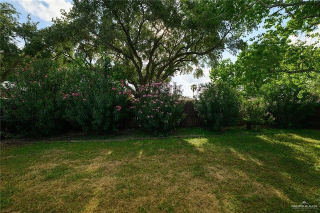 2805 N Blake St, Harlingen, TX 78550 - view of yard