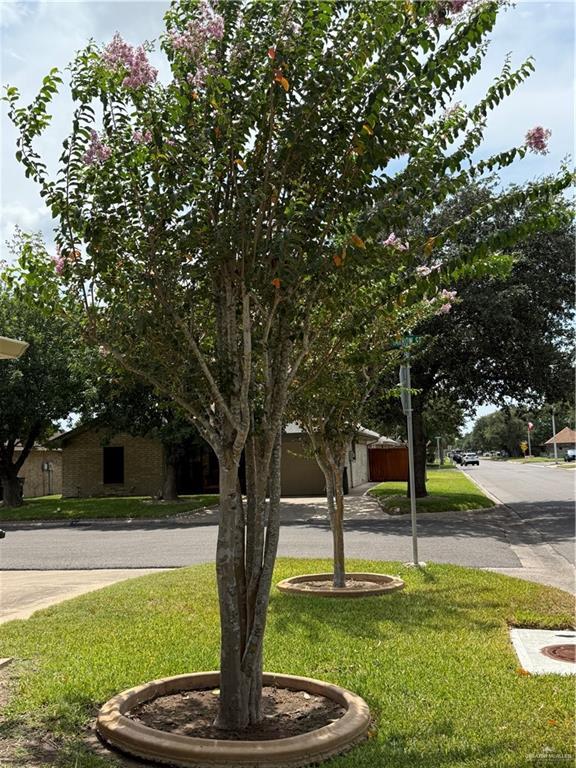 2312 Yarrow St, Mission, TX 78574 - view of green lawn with driveway