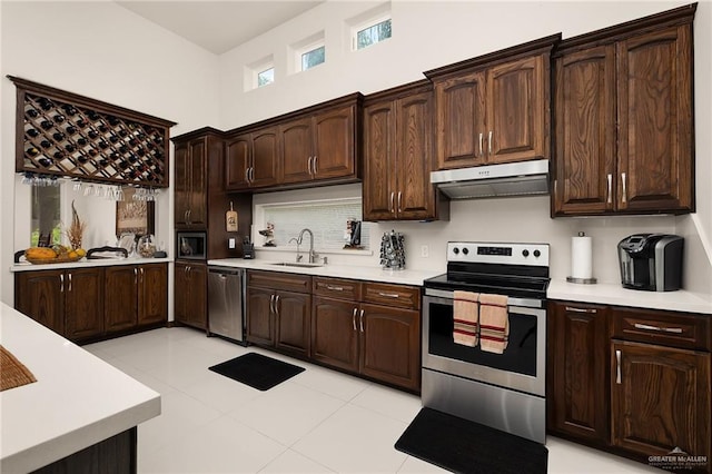 kitchen with dark brown cabinets, a towering ceiling, sink, and appliances with stainless steel finishes