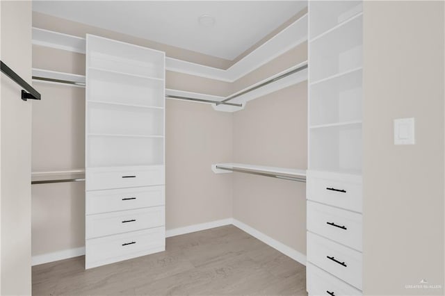 spacious closet featuring light wood-style flooring