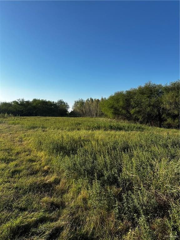NOF Mile 21 Rd, Edcouch, TX 78538