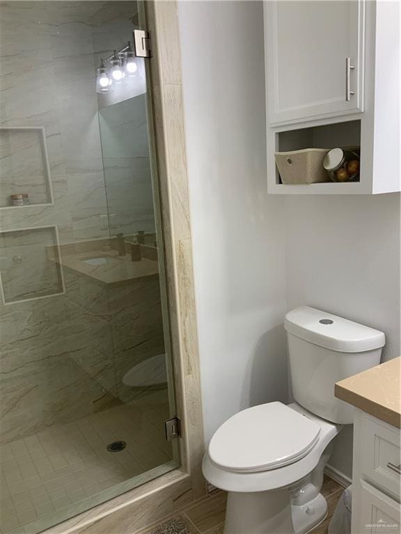 bathroom with vanity, toilet, and an enclosed shower