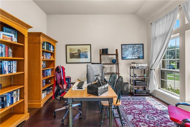 3606 Santa Lucia St, Mission, TX 78572 - home office with healthy amount of natural light, wood finished floors, and lofted ceiling