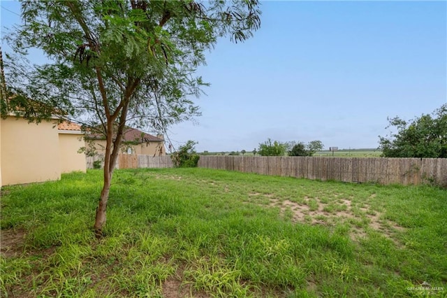 3210 S 5th Ln, Mcallen, TX 78503 - photo 14
