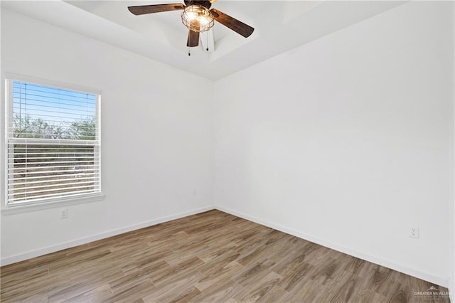 unfurnished room featuring light hardwood / wood-style floors and ceiling fan