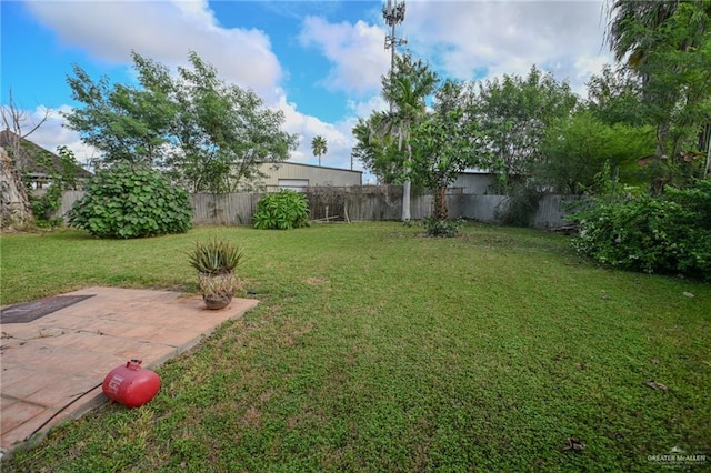 view of yard featuring a patio area