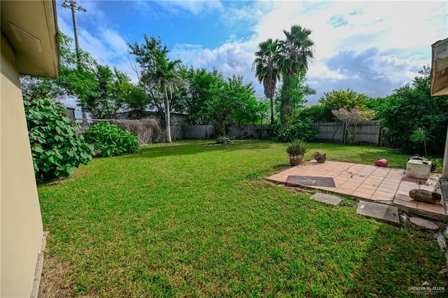 view of yard with a patio area