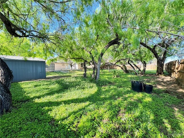 4208 Country St, Edinburg, TX 78541 - view of yard