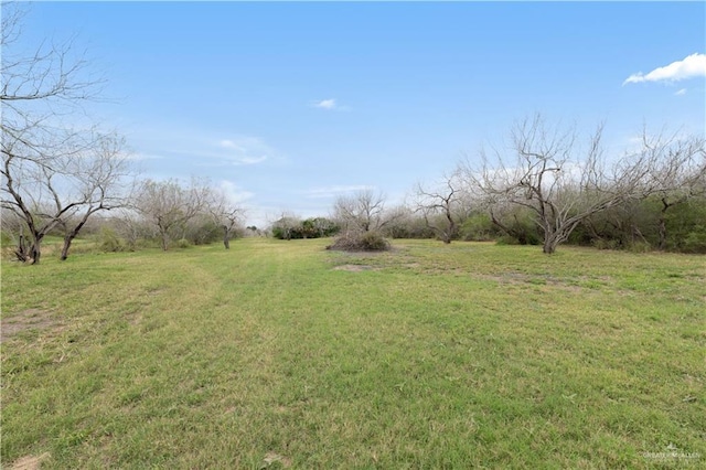 view of yard featuring a rural view