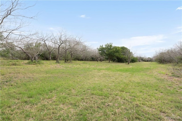 view of yard with a rural view