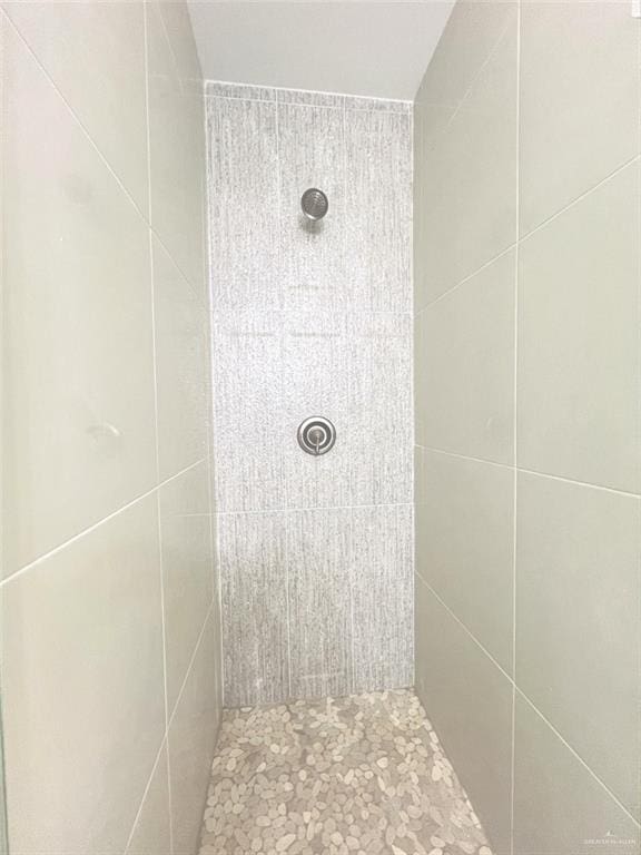 2309 S Cartier Dr, Edinburg, TX 78542 - full bath with tiled shower