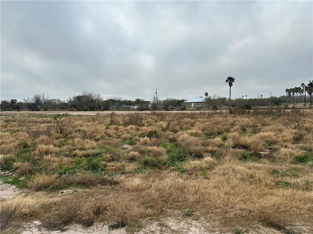 Listing photo 3 for 000 N Bentsen Palm Dr, Mission TX 78574