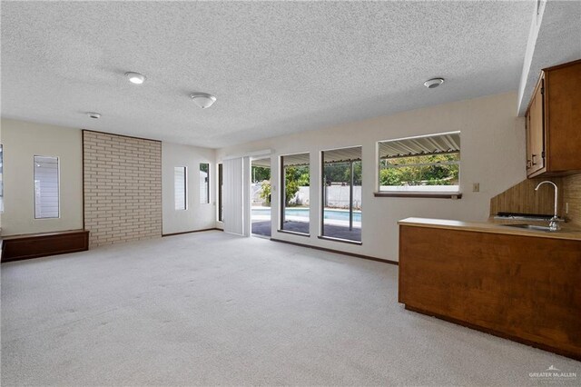 207 E Jackson Ave, Mcallen, TX 78501 - unfurnished living room with a textured ceiling, plenty of natural light, and light carpet