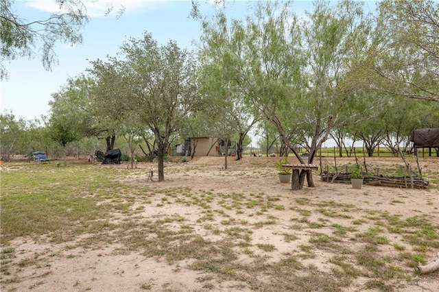 view of yard featuring a rural view