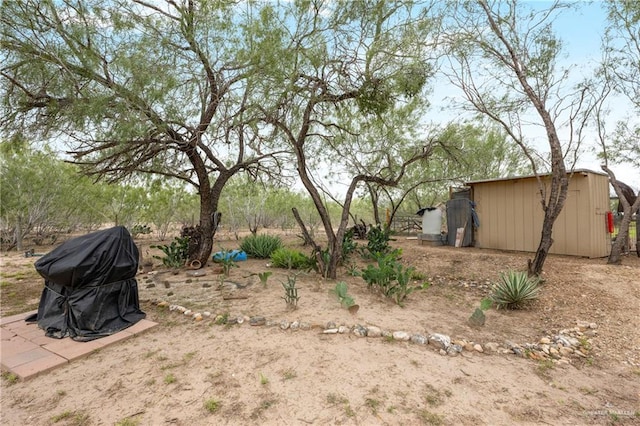 view of yard with a storage unit