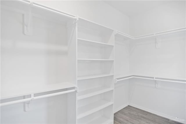 walk in closet featuring wood finished floors