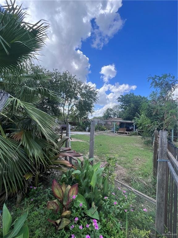 330 W Clark Ave, Pharr, TX 78577 - view of yard