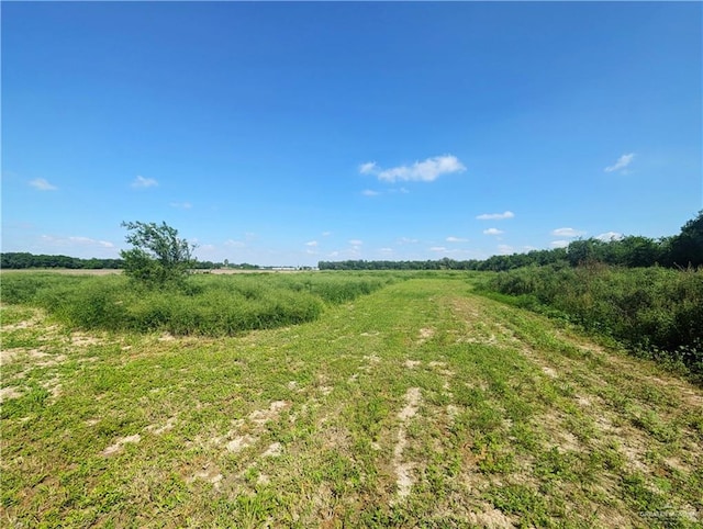 1325 W Eldora Rd, Alamo, TX 78516