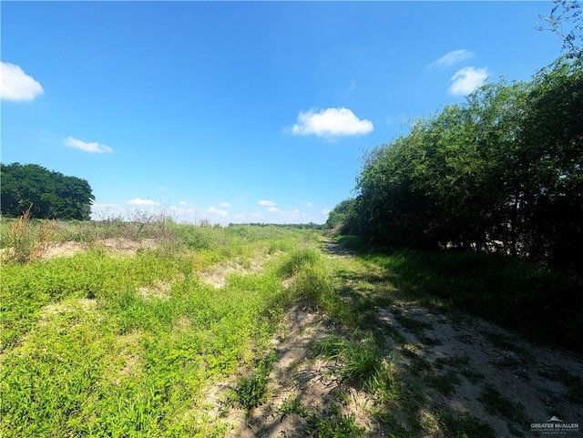 1325 W Eldora Rd, Alamo, TX 78516