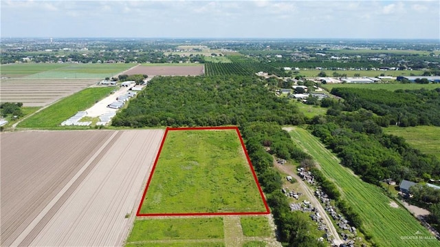 1325 W Eldora Rd, Alamo, TX 78516