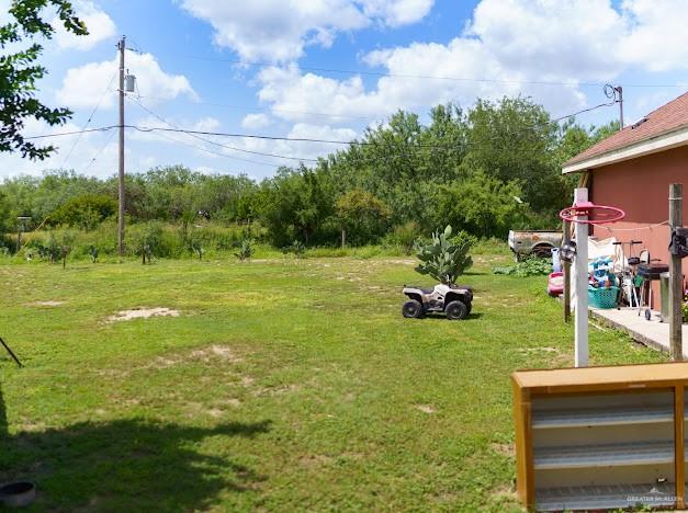4011 Pepe Dr, Mission, TX 78574 - view of grassy yard