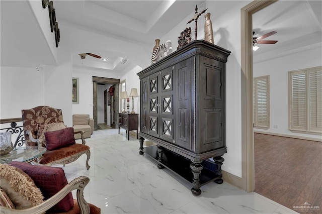 hall featuring a tray ceiling and light hardwood / wood-style flooring