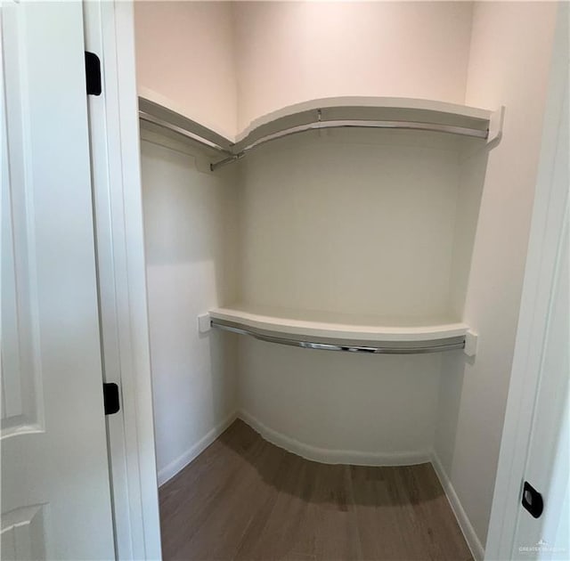 spacious closet with wood-type flooring