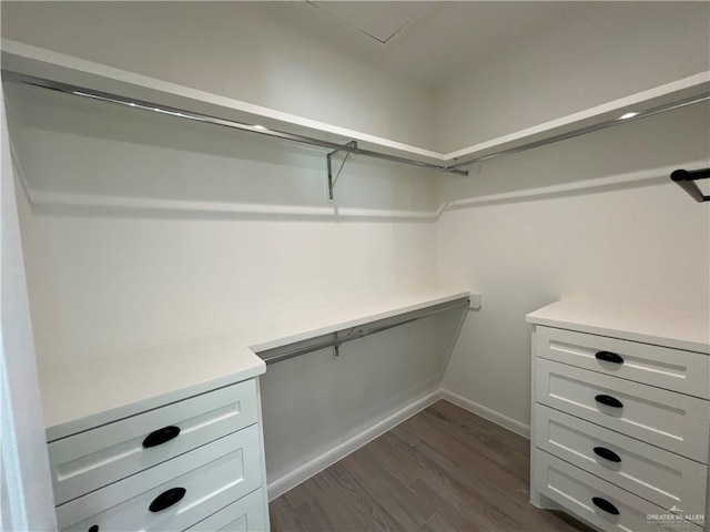 walk in closet featuring dark hardwood / wood-style floors