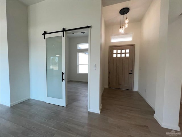 entrance foyer featuring a barn door and dark hardwood / wood-style flooring