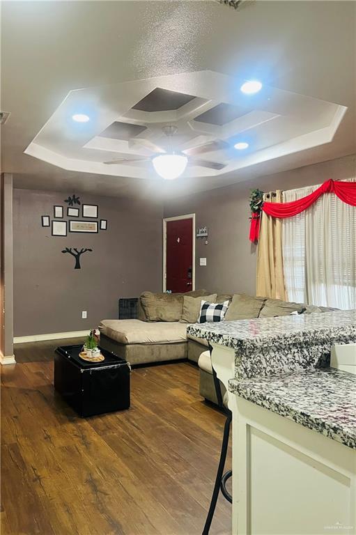 living room with a tray ceiling and wood-type flooring