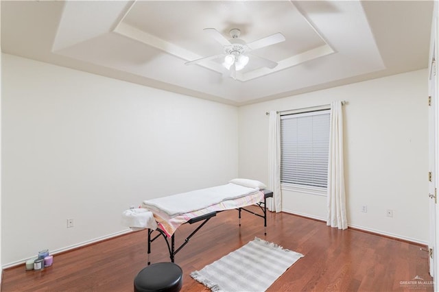 miscellaneous room featuring a raised ceiling, ceiling fan, and dark hardwood / wood-style floors