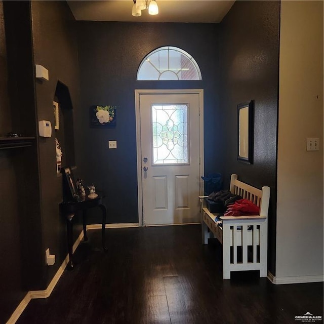 entrance foyer with dark wood-type flooring