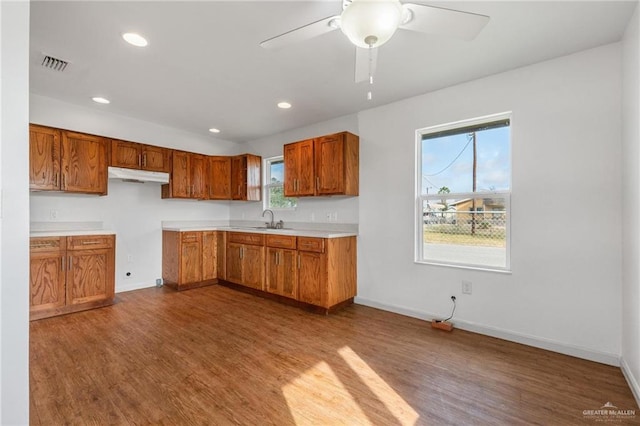 kitchen featuring sink, wood-type flooring, and ceiling fan